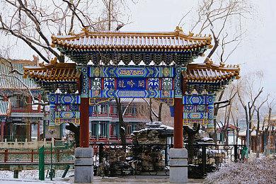 《地平线5》抢先体验，鲜牛加速器可设置NAT开放